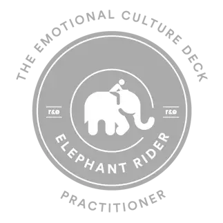 Elephant Rider